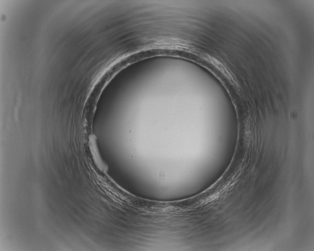 X0000087640926200705181522