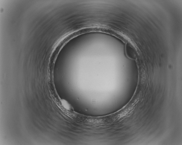 X0000087640927200705181522