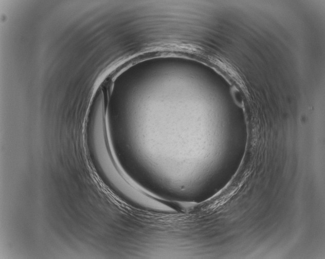 X0000087640928200705181522