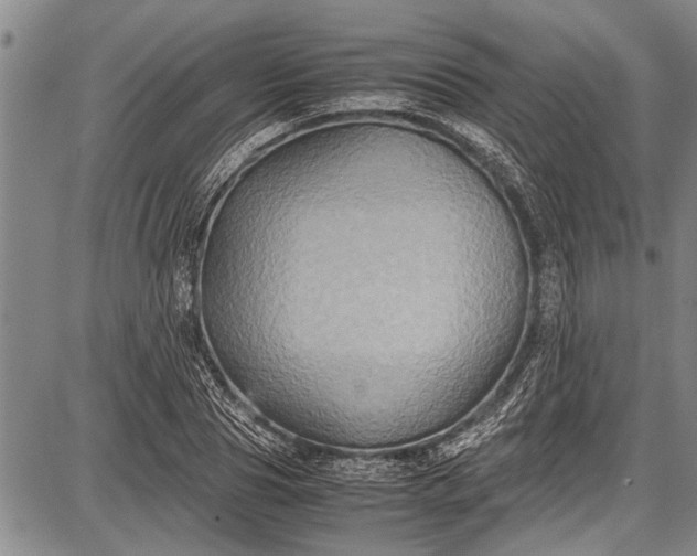 X0000087640929200705181522