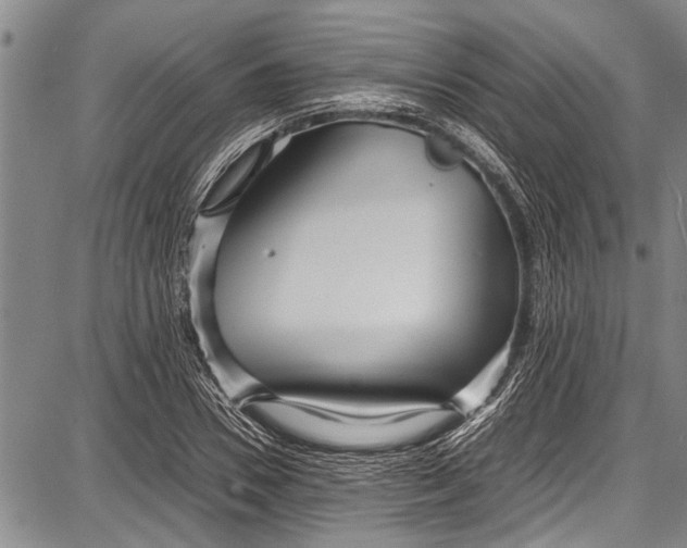 X0000087640930200705181522