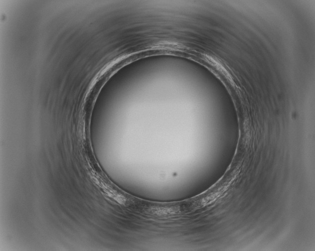 X0000087640931200705181522