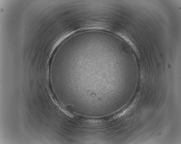 X0000087640933200705181522