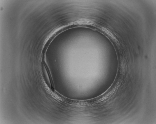 X0000087640934200705181522