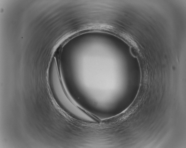 X0000087640936200705181522