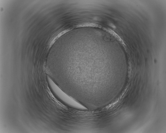 X0000087640937200705181522