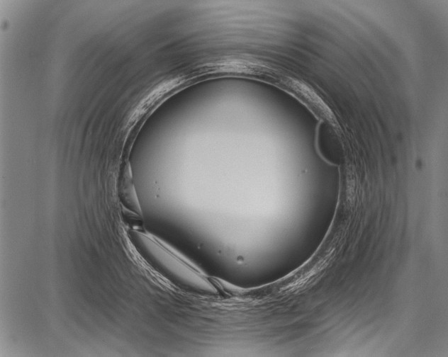 X0000087640938200705181522