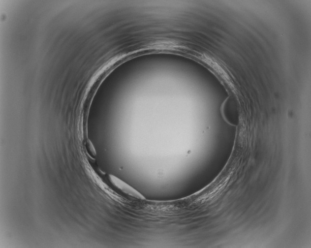 X0000087640939200705181522