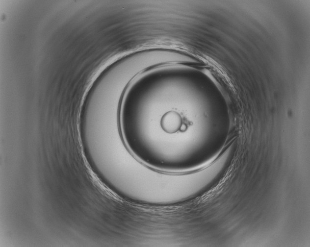 X0000087640942200705181522