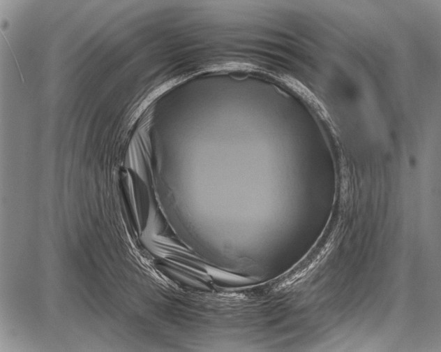 X0000087640945200705181522