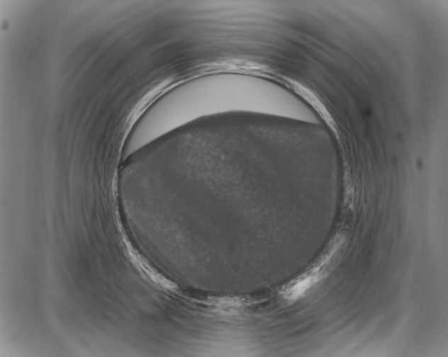 X0000087640946200705181522