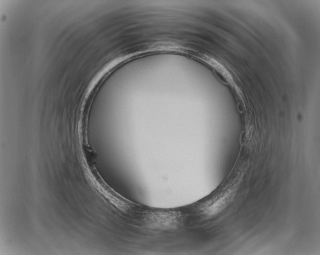 X0000087640947200705181522