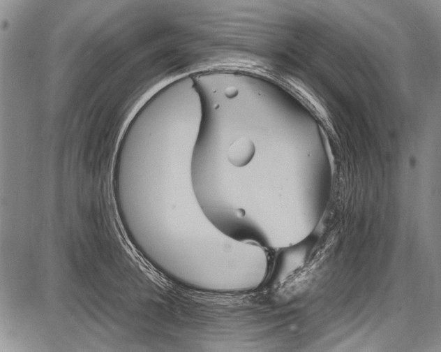 X0000087640948200705181522