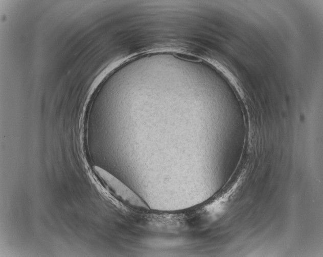 X0000087640949200705181522