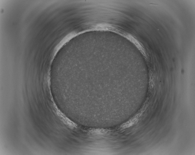 X0000087640950200705181522