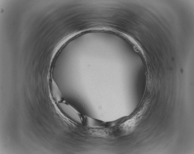 X0000087640951200705181522