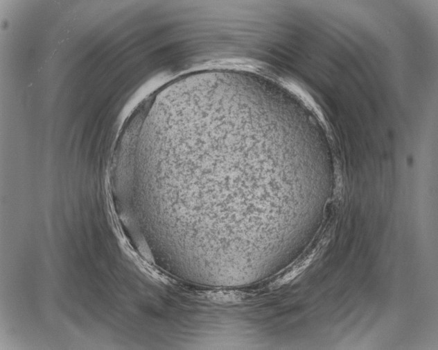 X0000087640952200705181522