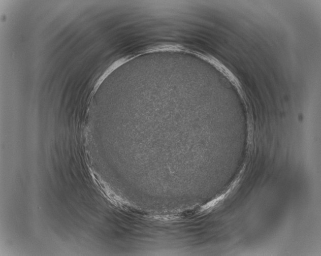 X0000087640953200705181522