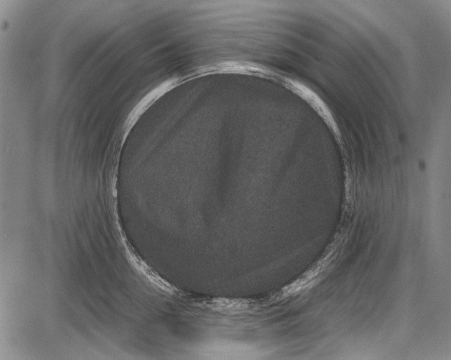 X0000087640954200705181522