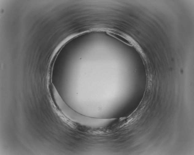 X0000087640955200705181522