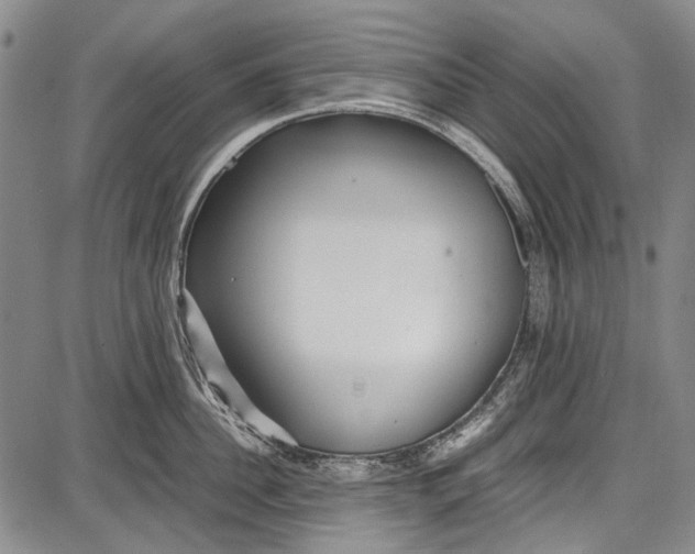 X0000087640956200705181522