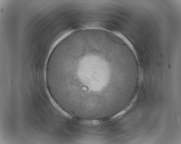 X0000087640957200705181522