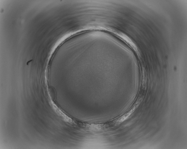 X0000087640958200705181522