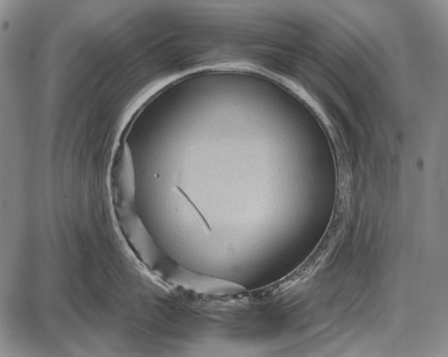 X0000087640959200705181522