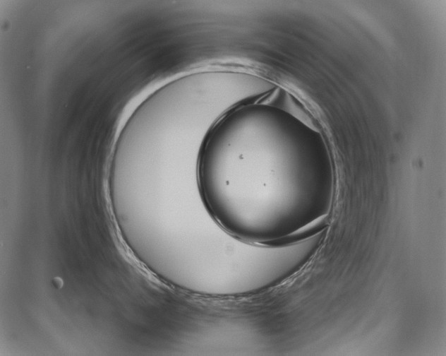 X0000087640960200705181522