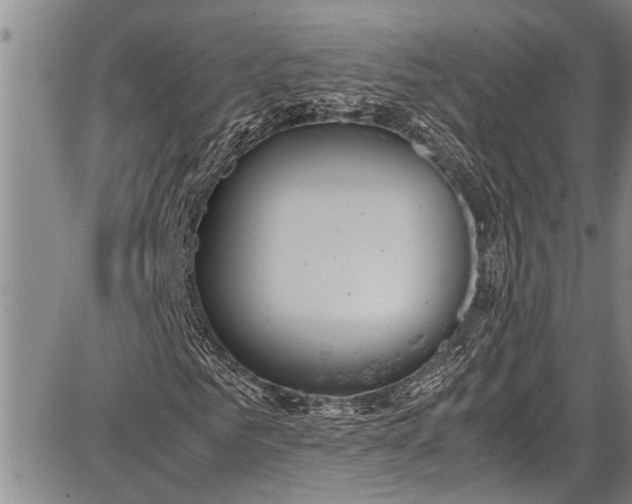 X0000087640961200705181521