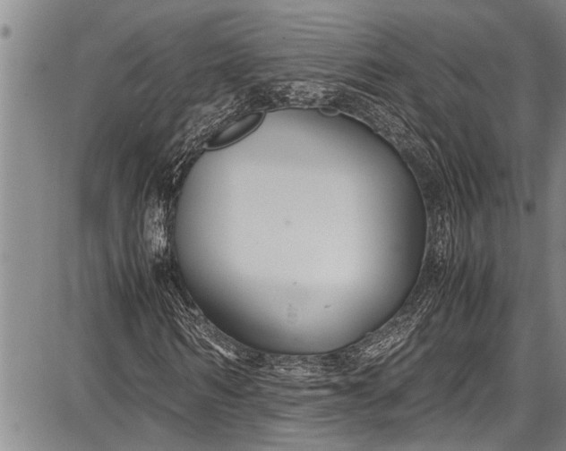 X0000087640962200705181521