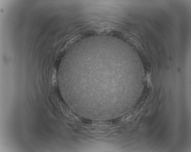 X0000087640963200705181521