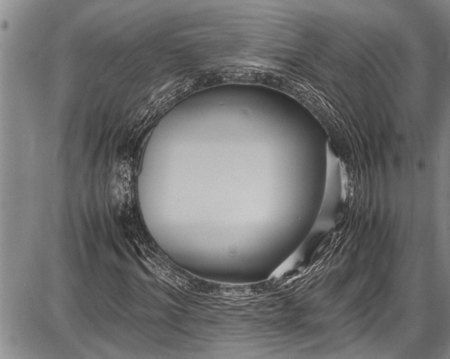 X0000087640964200705181521