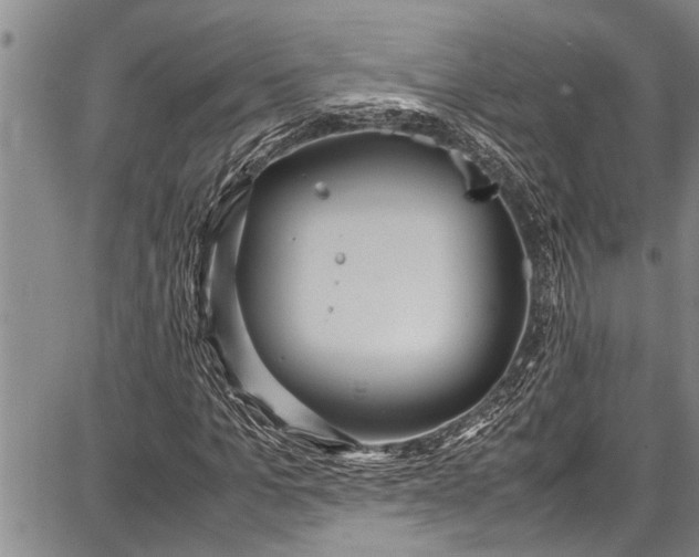 X0000087640965200705181521