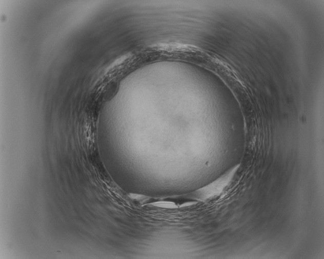 X0000087640966200705181521