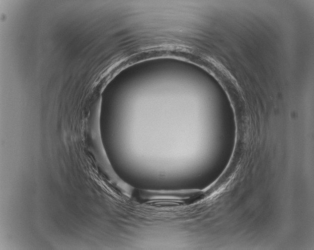 X0000087640969200705181521