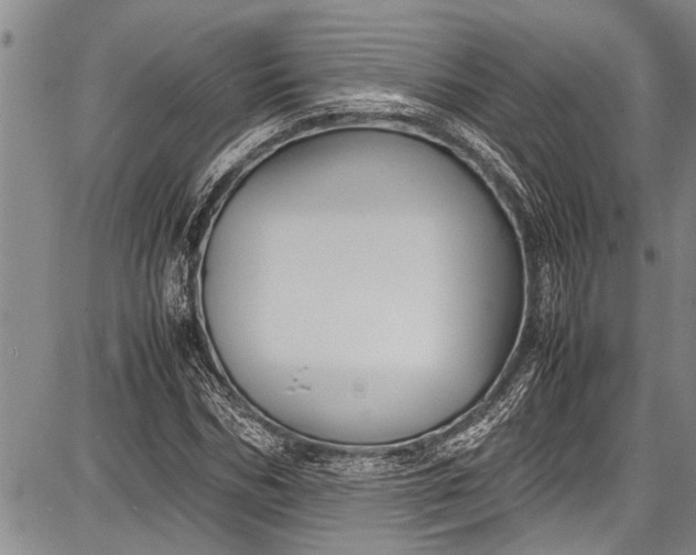 X0000087640970200705181521