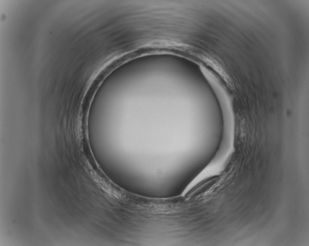 X0000087640976200705181521