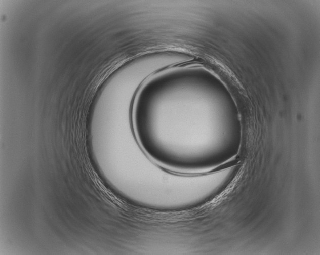 X0000087640977200705181521