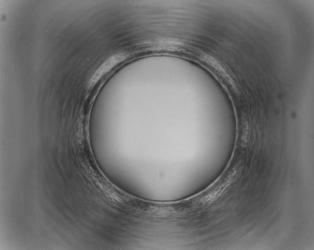 X0000087640978200705181521