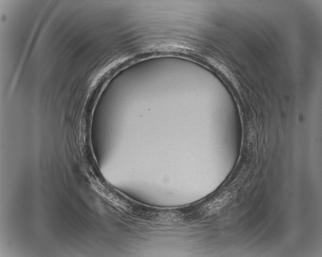 X0000087640979200705181521