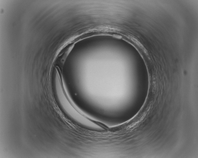 X0000087640981200705181521