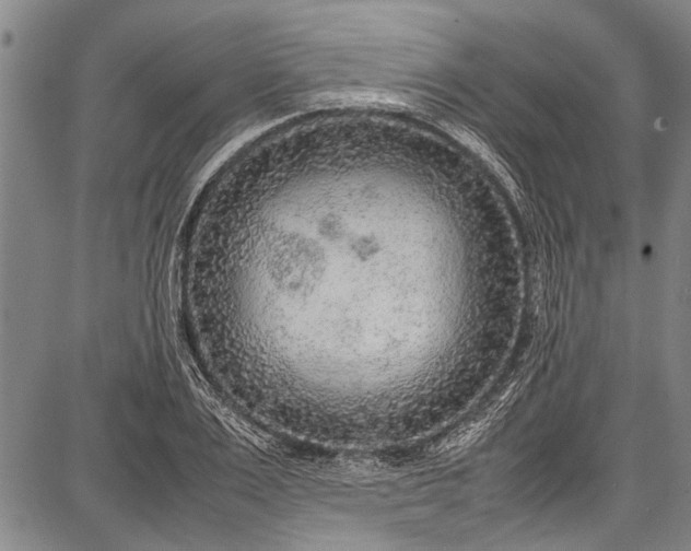 X0000087640983200705181521