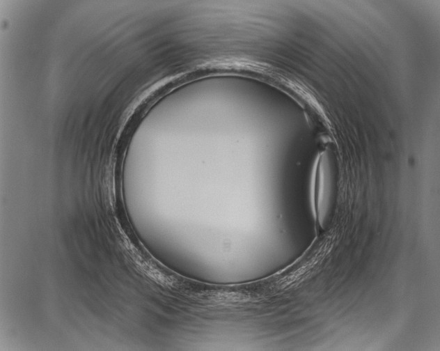 X0000087640984200705181521