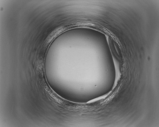 X0000087640985200705181521