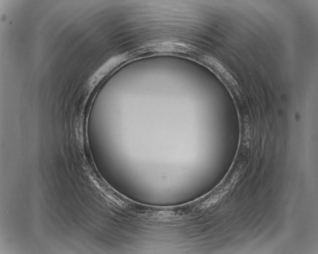 X0000087640986200705181521