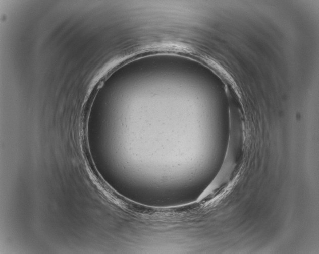 X0000087640989200705181521