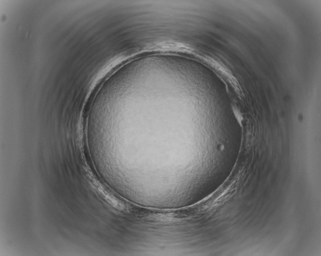 X0000087640990200705181521