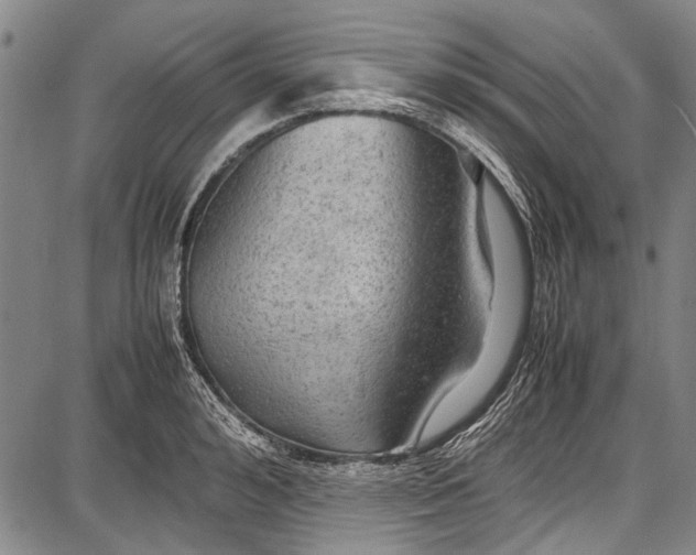 X0000087640992200705181521