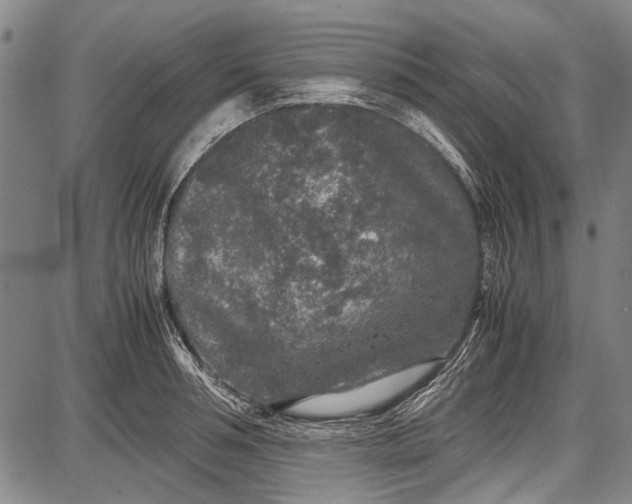 X0000087640994200705181521